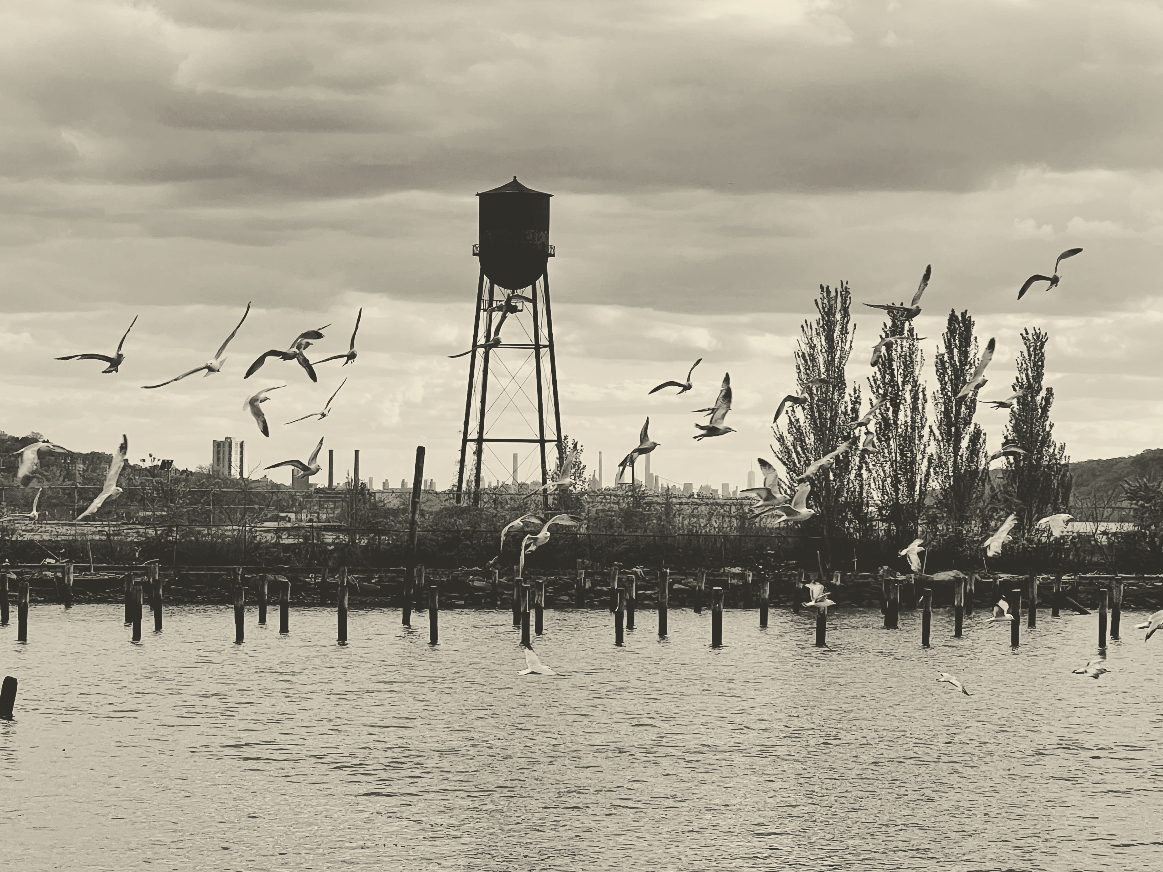 Hastings-on-Hudson