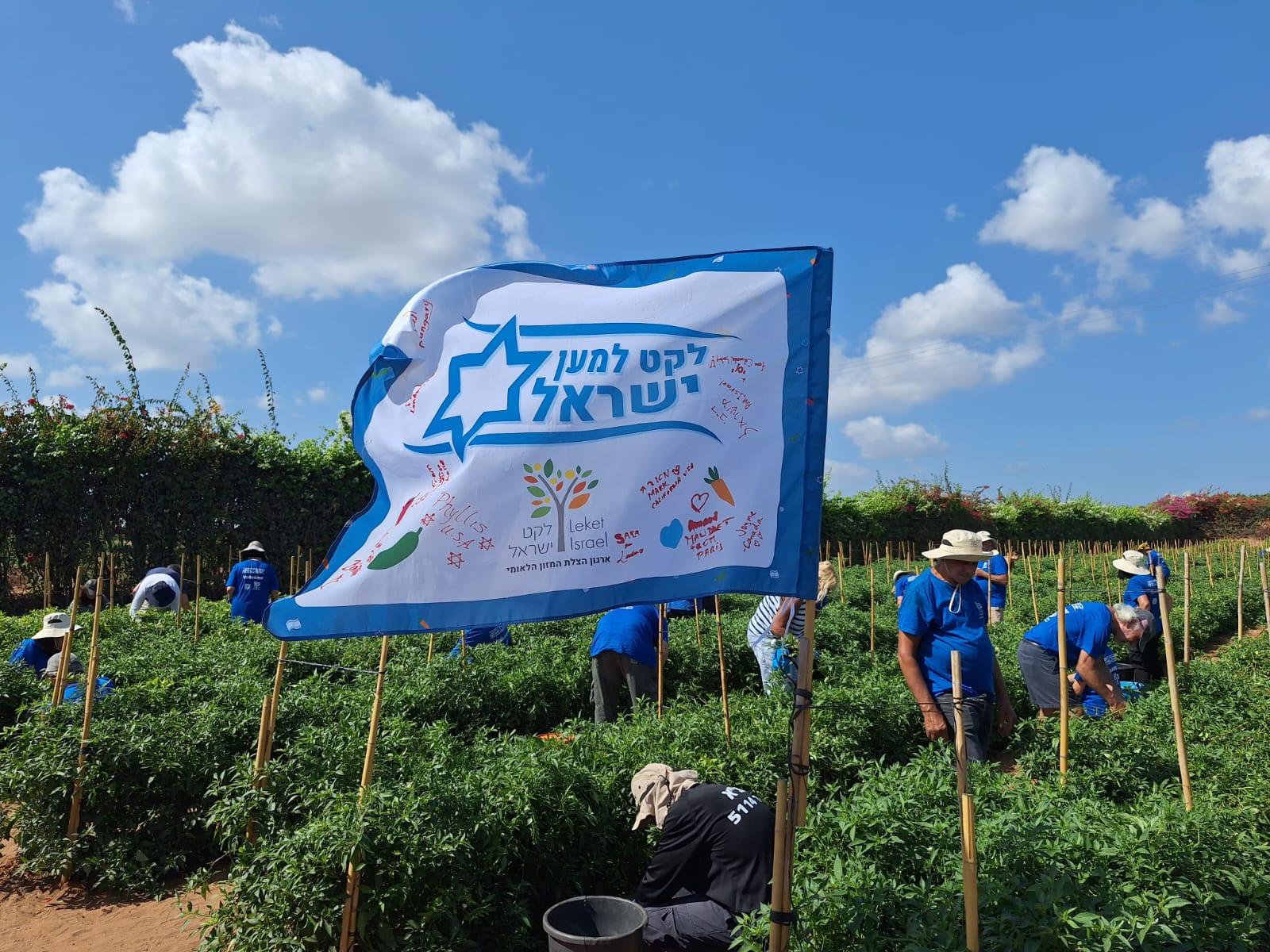 Leket Israel keeps food flowing to the needy through nearly three years of war