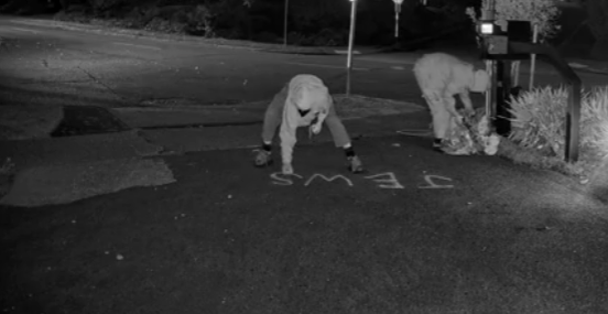 Screenshot from homeowner's surveillance video. Courtesy of the homeowners.