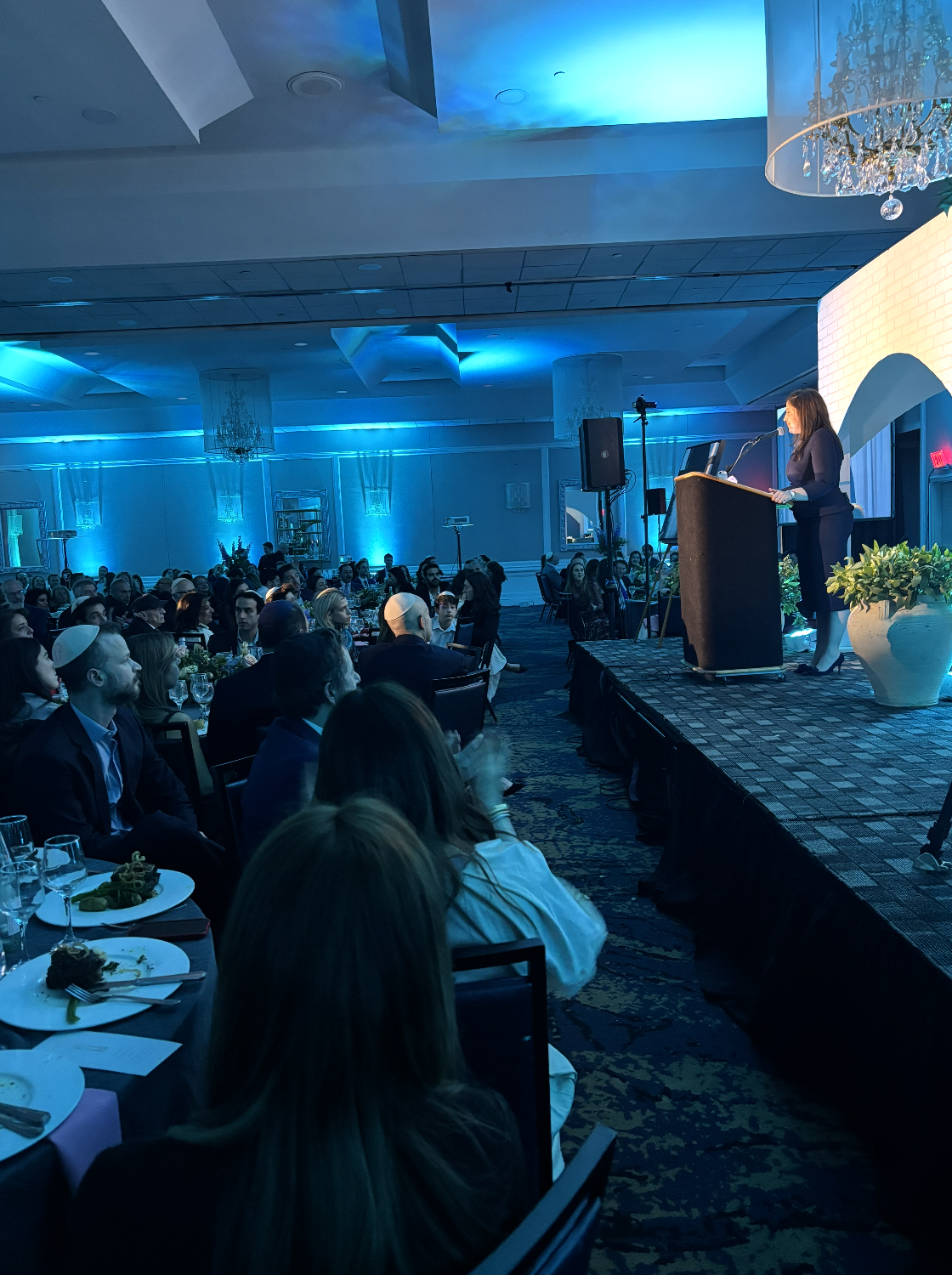 Stefanik Chabad award