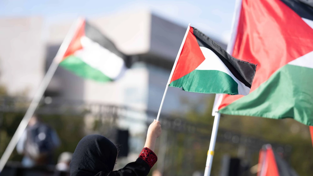 Pro-Palestinian Protester in Washington, D.C.