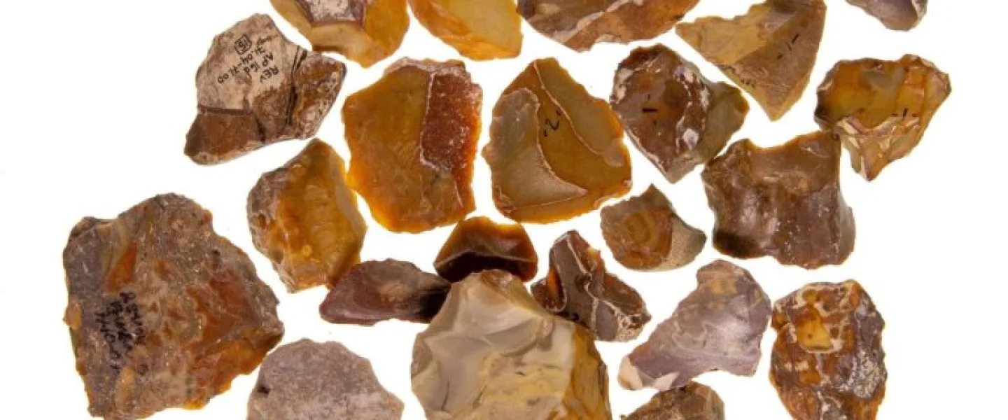 Recycled patinated flint tools from Revadim, Israel. Credit: Courtesy of Tel Aviv University.