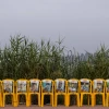 Photos of hostages