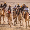 Israeli Bedouin take part in a camel race near Ashalim in the northern Negev on Nov. 1, 2024. Photo by Jamal Awad/Flash90.