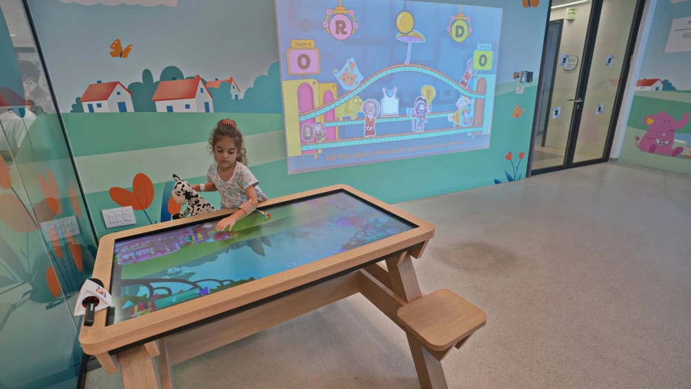 Bibas Family Playroom