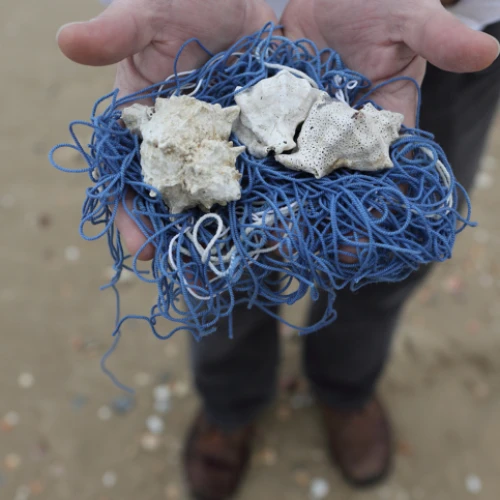 Dr. Baruch Sterman holds the strings of a blue satin worm from which the tzitzit frills are made on the beach in Tel Aviv, March 23, 2014. Photo by Yaakov Naumi/Flash 90.