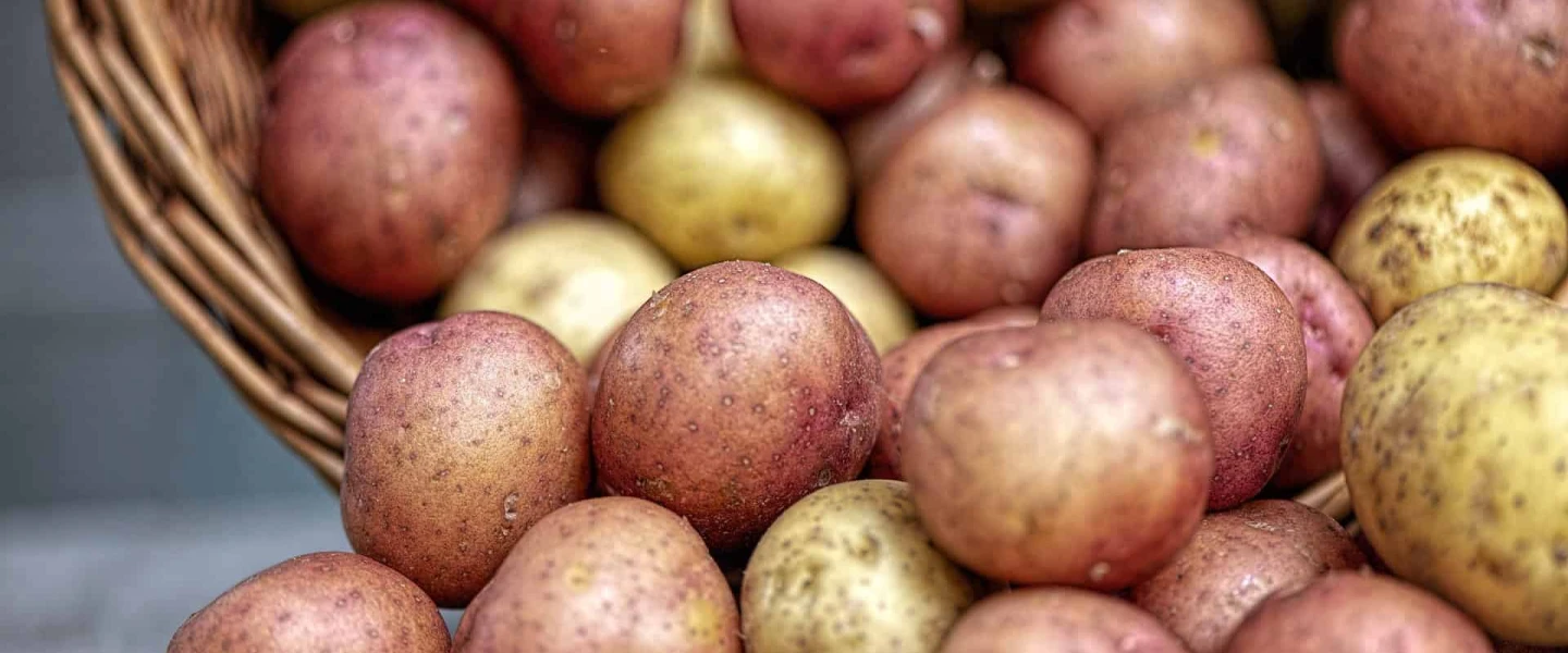 Potatoes