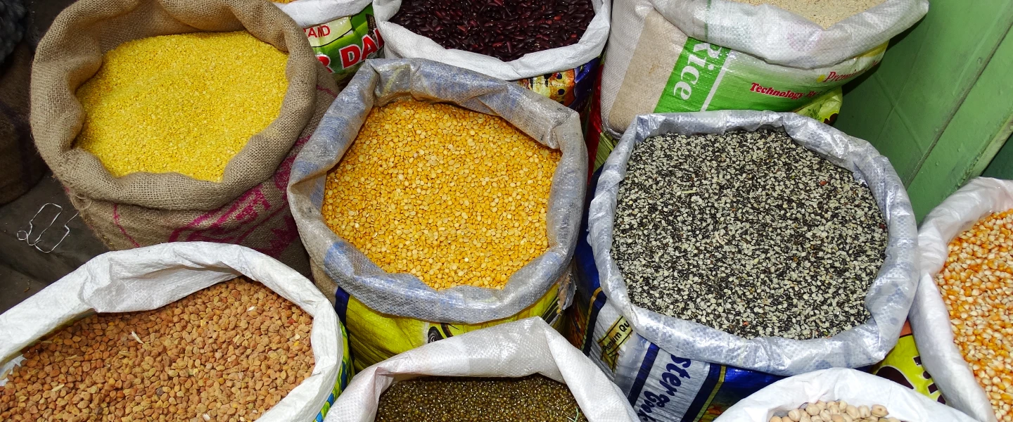 Pulses (Legumes)