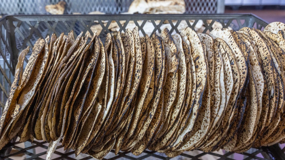 Shmurah Matzah, Passover