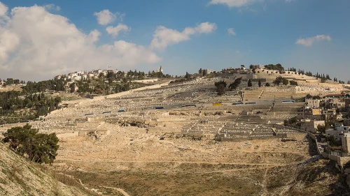View of Har HaZeitim, Mount of Olives. Credit: International Committee for Har HaZeitim.