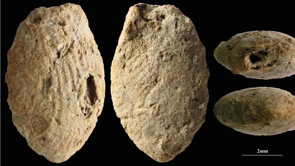 A butterfly clay bead from the Final Natufian period in Eynan-Mallaha (Upper Jordan Valley), colored red with ochre and marked with the fingerprints of the child (≈10 years old) who modeled it 12,000 years ago. Credit: Laurent Davin