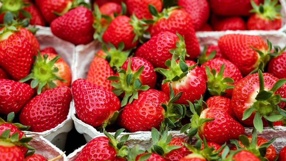 Strawberries. Credit: Pixabay.