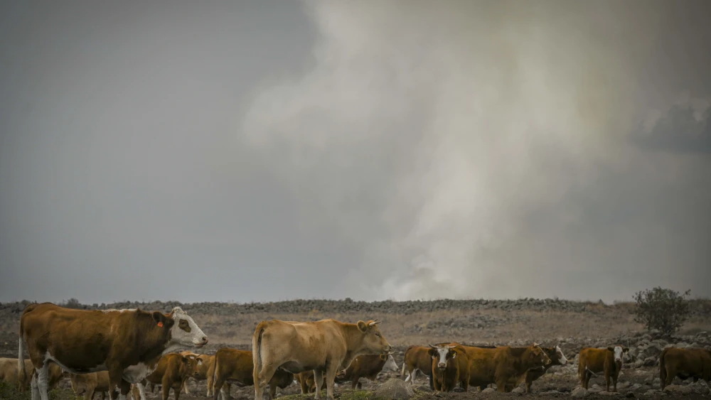 Firefighters control the wildfires after a massive 25-missile attack on the northern town of Katsrin and central Golan Heights, on November 3, 2024. Photo by Michael Giladi/ Flash90 *** Local Caption *** לבנון ישראל נפילה מלחמה פגיעה שריפה