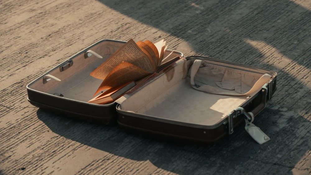 Open suitcase. Credit: M.Emin BİLİR/Pixabay.