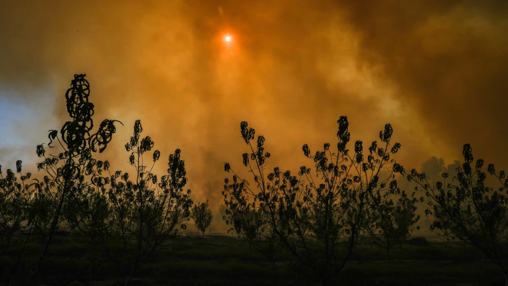 A wildfire following a missile attack from Lebanon near kibbutz Yesud Hamaala, Galilee, Oct. 26, 2024. Photo by Ayal Margolin/Flash90.