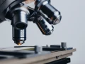 Microscope research science