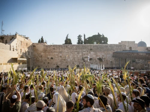 Jewish men hold the four plant species—palm leave stalk, citrus, myrtle and willow-branches—as they take part in the Hoshanah Rabbah prayer on the seventh day of Sukkot at the Western Wall in Jerusalem on Oct. 20, 2019. Photo by Yonatan Sindel/Flash90.