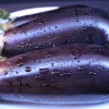 Two Eggplants