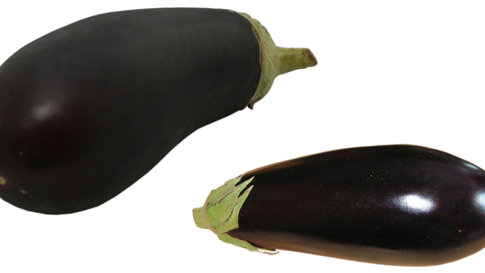 Eggplant. Credit: Pixabay.