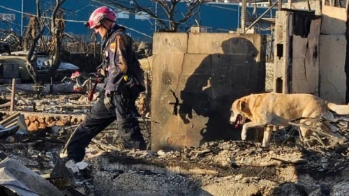 The aftermath of the Hawaii fires. Credit: U.S. Fire Administration via Twitter.