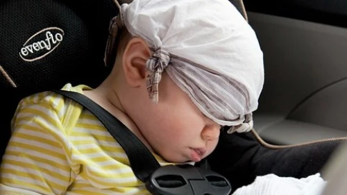 A baby in a car safety seat. Credit: Pixabay.