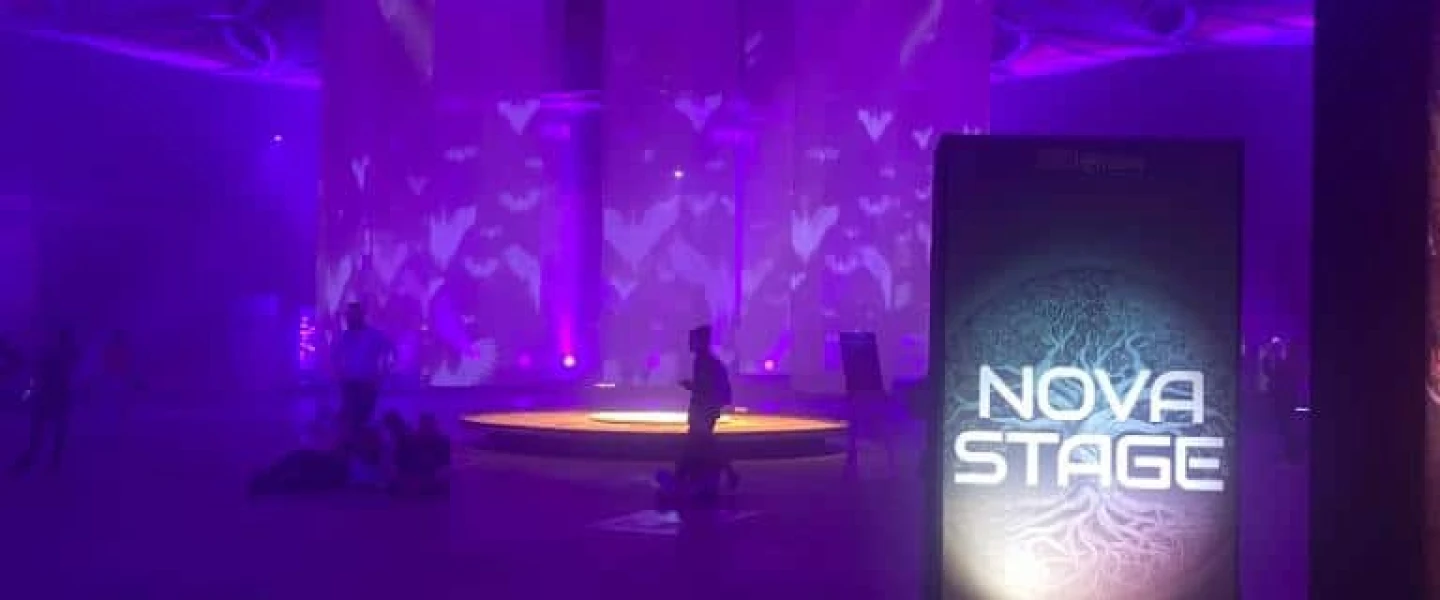 "Nova 6.29" exhibit