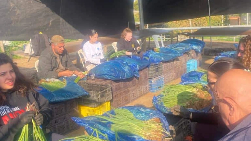 Mosaic United’s Shalom Corps