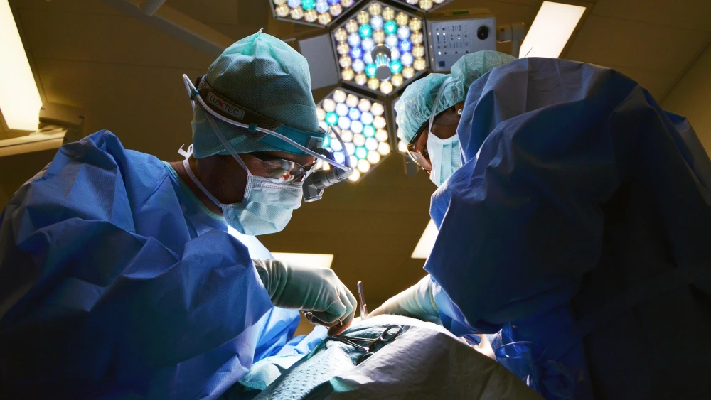 Doctors operating in a hospital. Credit: Marion Brun/Pixabay.