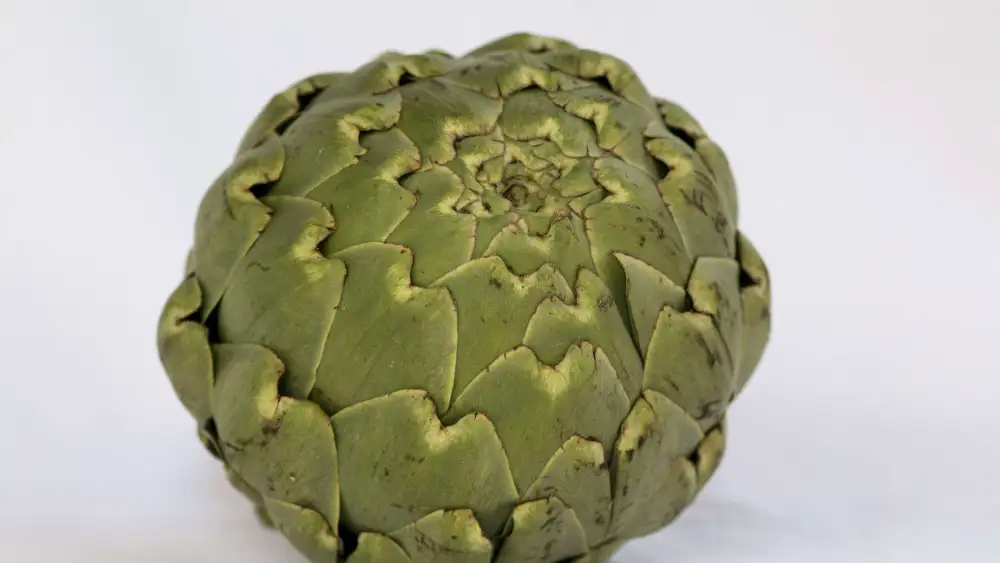 Artichoke