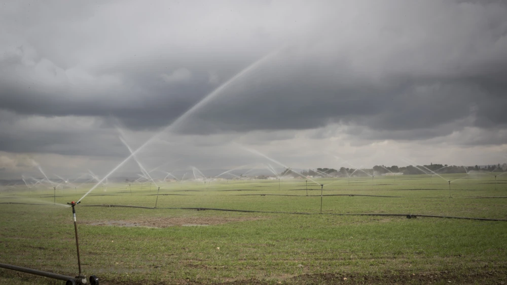 Sprinklers water the plantation fields near the southern Israeli city of Sderot, on Jan. 21, 2017. Photo by Nati Shohat/Flash90.