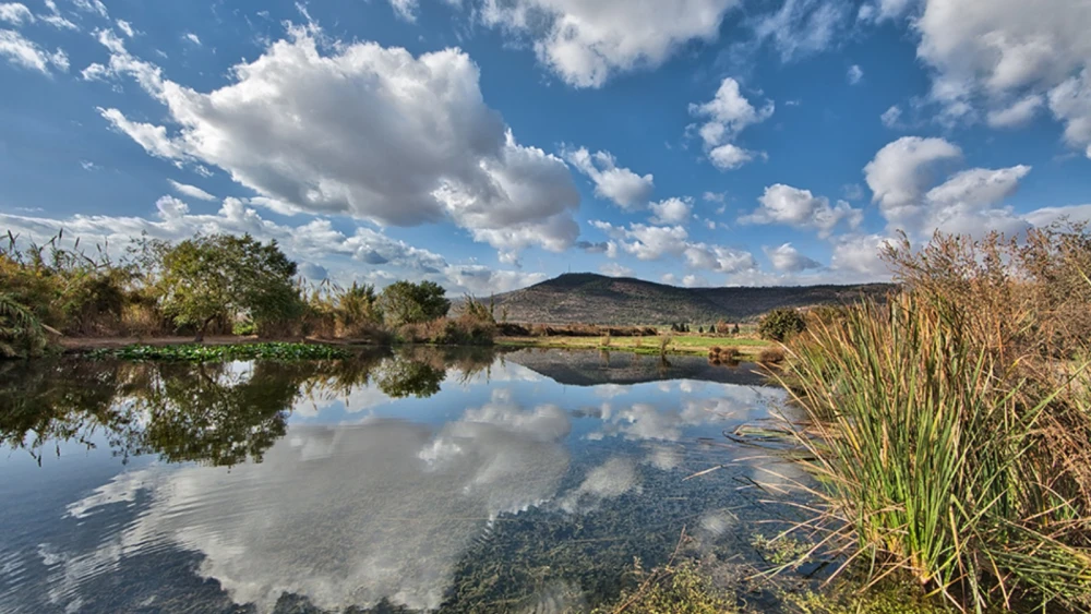 The early-morning mist rolls in over the Hula Valley. Photo by Noam Chen.