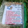 Antisemitic Fliers