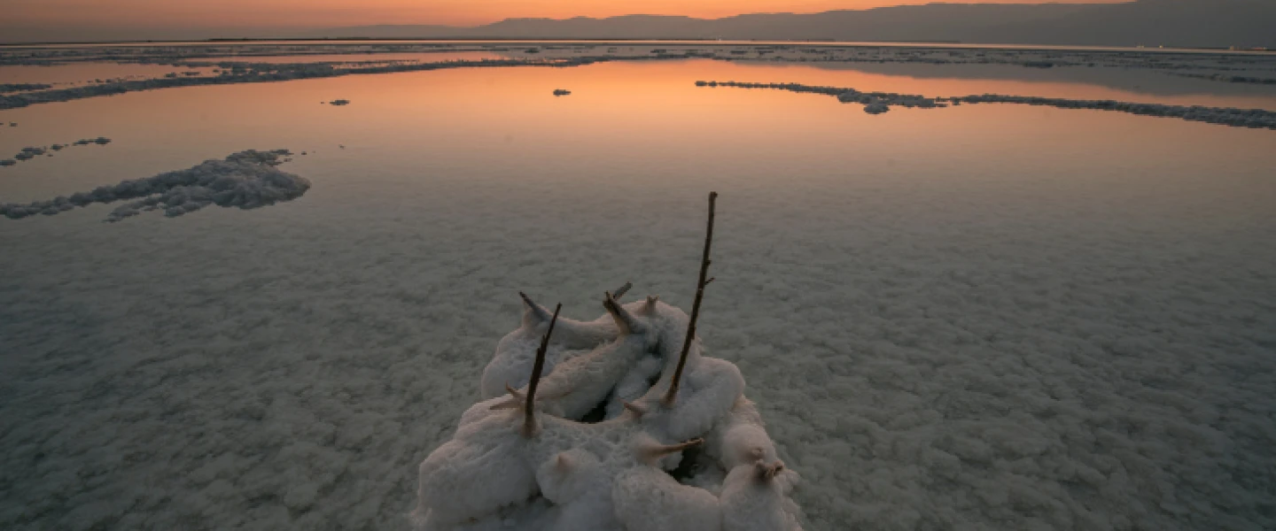 Salt formations on the Dead Sea shore, July 7, 2020. Photo by Mila Aviv/Flash90.