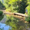 A boy explores the Ein Zin spring in the Upper Galilee on June 21, 2025. Photo by Canaan Lidor.