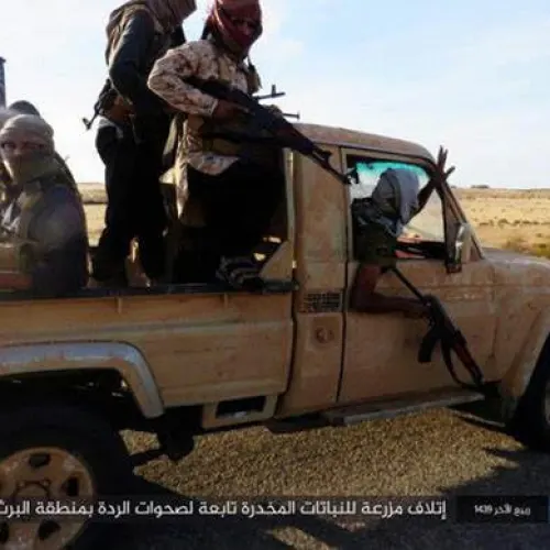 ISIS fighters brandish their weapons while riding a truck south of Rafah in the Gaza Strip. Credit: MEMRI.