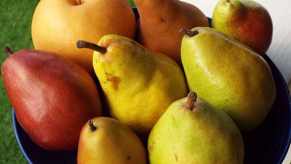 Pears. Credit: Wikimedia Commons.