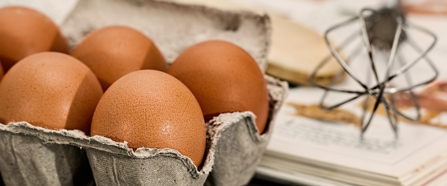 Brown Eggs