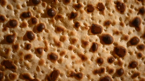 Passover Matzah