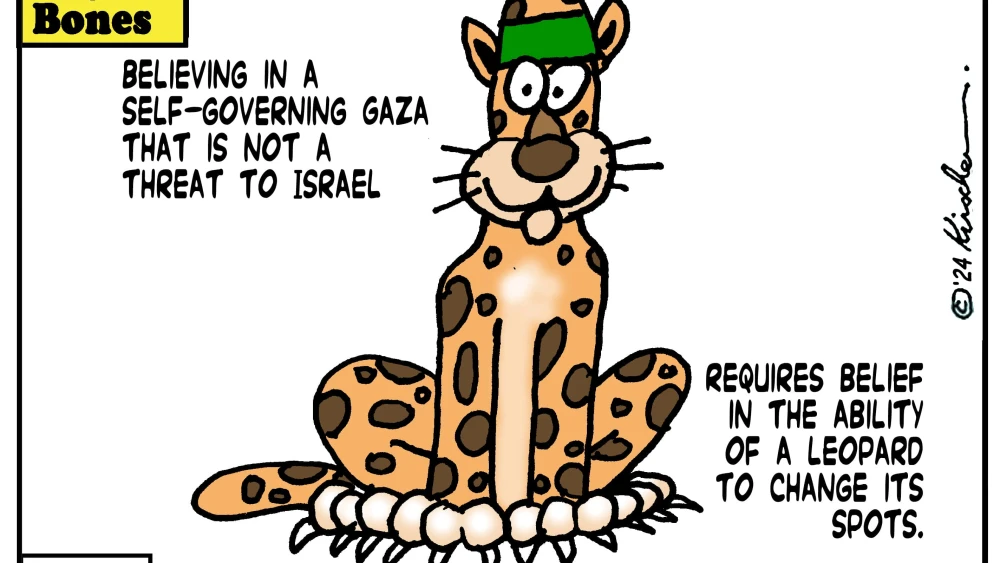 Credit: Yaakov (DryBones) Kirschen.