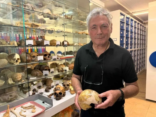 Tel Aviv University's Prof. Israel Hershkovitz Creddit: TAU
