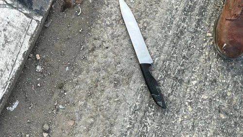 The knife used in an attempted terrorist stabbing outside the Palestinian town of Deir Sharaf, near Nablus in Samaria, Nov. 12, 2024. Credit: Israel Defense Forces.