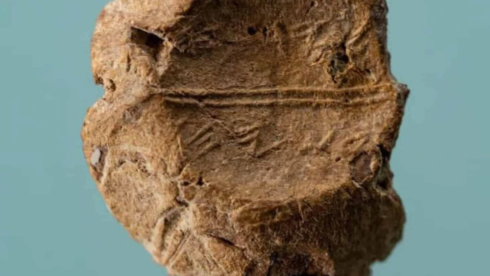 First Hebrew Temple Rare First Temple-era seal impression found in Jerusalem - Israel ...