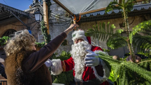 People carry Christmas trees at the New Gate in Jerusalem’s Old City during a Christmas tree distribution a few days ahead of the holiday, Dec. 18, 2025. Photo by Yonatan Sindel/Flash90.