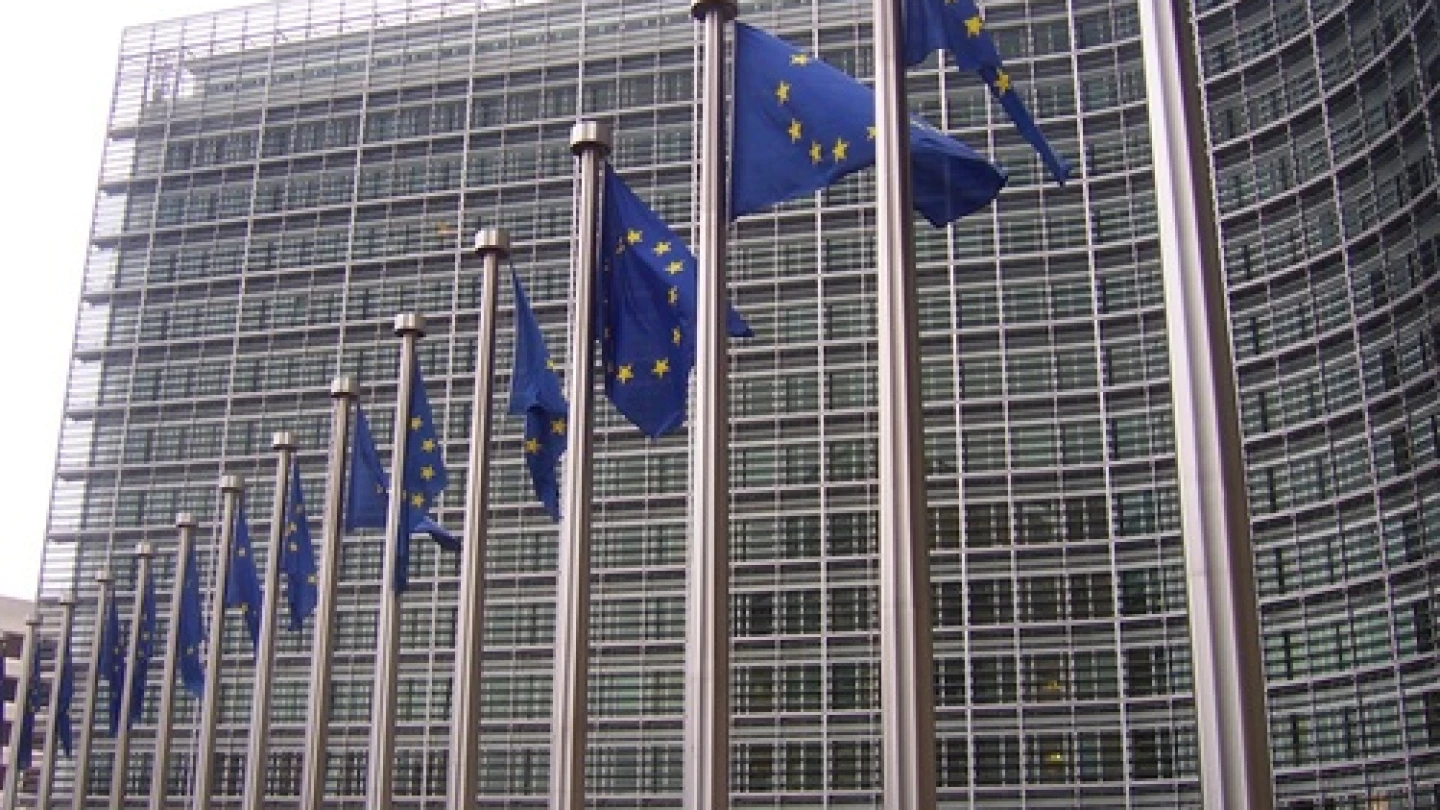 EU flags
