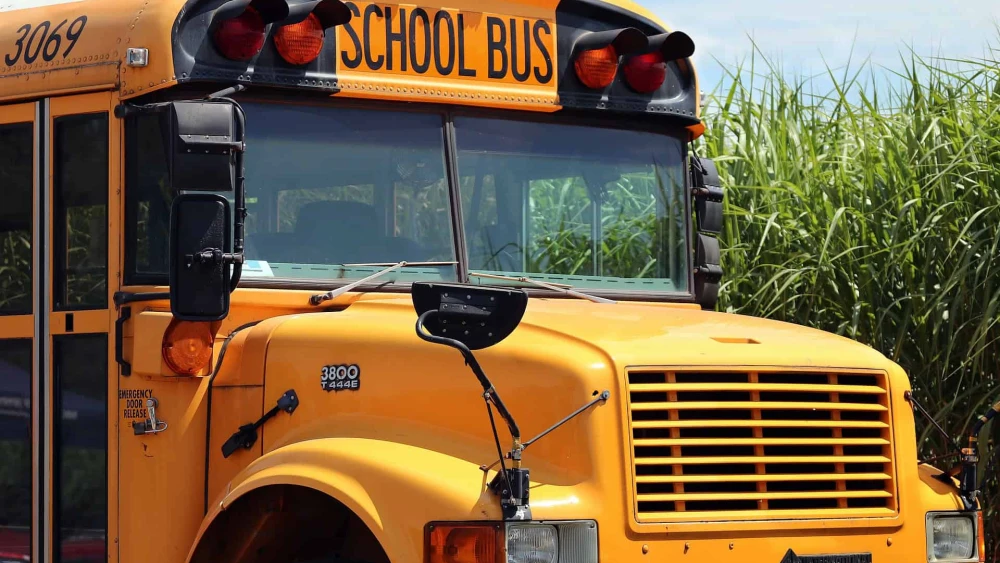 School Bus