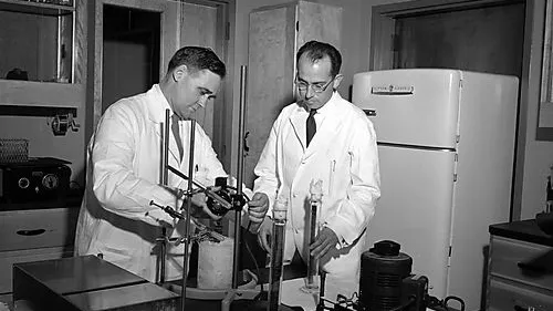Dr. Jonas Salk with Percival (Val) Bazeley, one of the polio team's senior scientists circa 1954/1955. Credit: University of Pittsburgh Historic Photographs.
