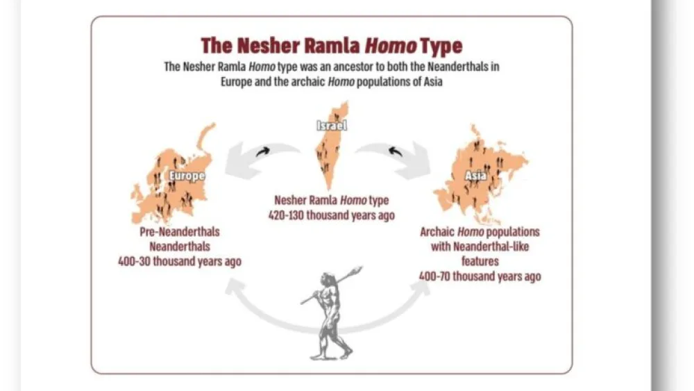 Chart courtesy of Tel Aviv University