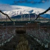 Mount Hermon