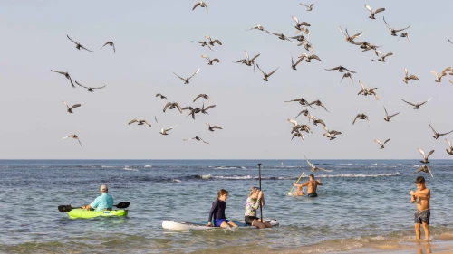 People enjoy the beach in Bat Yam, central Israel, Nov. 22, 2025. Photo by Dor Pazuelo/Flash90.