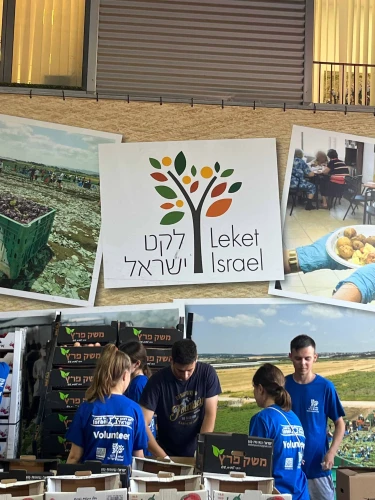 Volunteers join Leket Israel to assist with feeding evacuees in southern Israel, October 2025. Credit: Abbe Ellam.